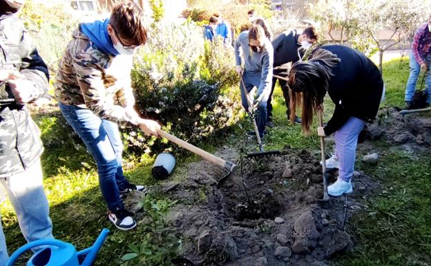 El Grupo de Trabajo Ecocentro, del IES Augustóbriga, planta más de 300 plantas aromáticas y distintos árboles