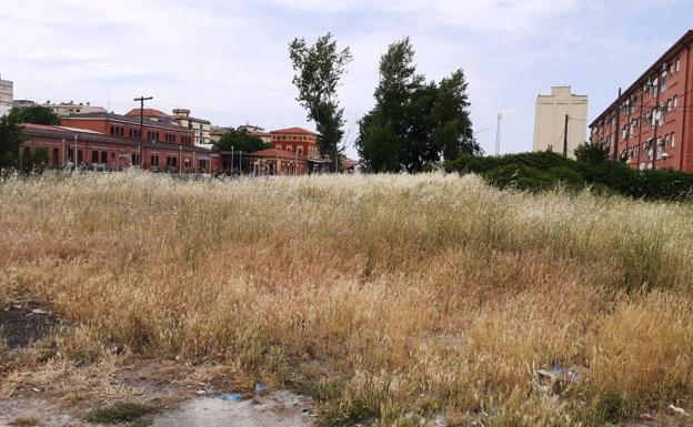 Un bando recuerda la obligación de limpiar los pastos urbanos