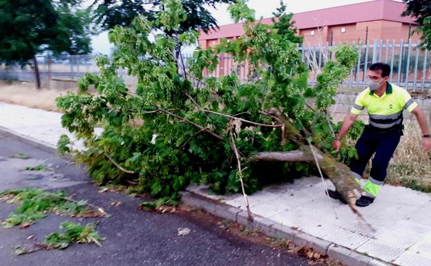 La tormenta de agua, viento y granizo deja al menos 25 incidencias en distintos puntos del casco urbano