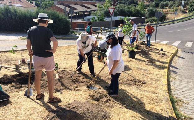 Celebran el Día Mundial del Medio Ambiente plantando árboles