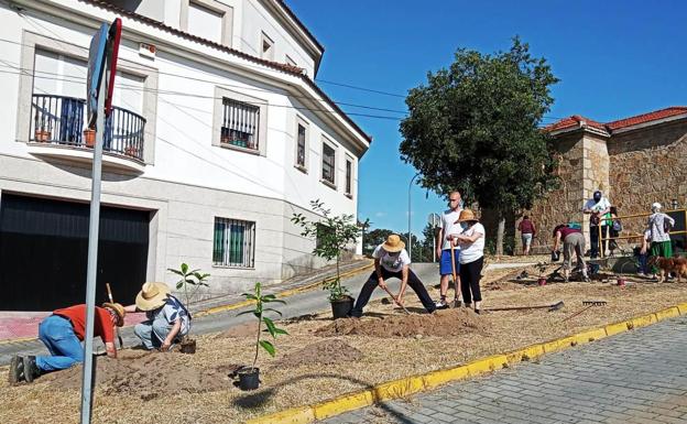Adenex, Objetivo Areté, Ecologistas en Acción y el barrio del Molinillo se unen para recuperar entornos verdes