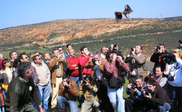 Higuera de Albalat acoge unas jornadas para recuperar lechuzas y mochuelos en la Reserva de la Biosfera