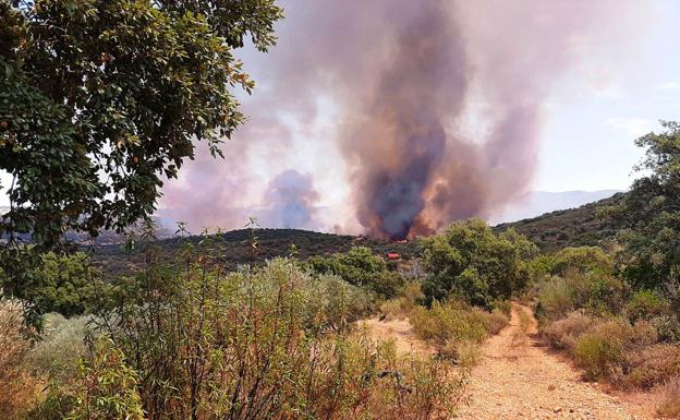 Incendio forestal entre Peraleda de San Román y Bohonal de Ibor