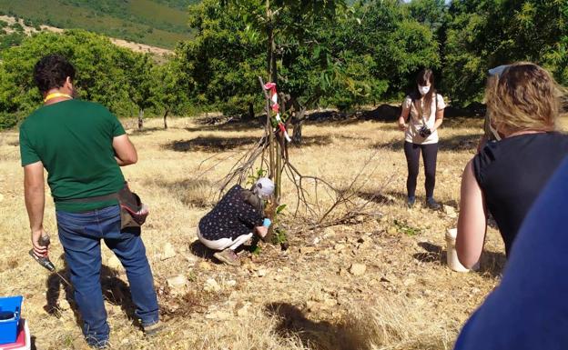 Exitosa presentación del Grupo Operativo del Castaño, Castanea