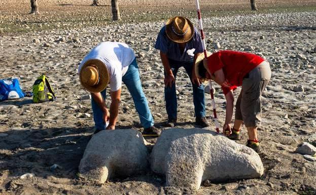 Esculturas de verracos se suman a los hallazgos del embalse de Valdecañas