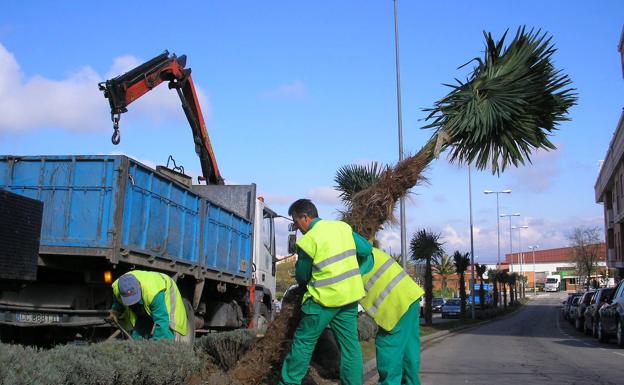 Plazo para opositar a dos plazas de operarios de jardinería
