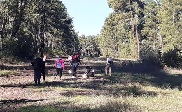 Toril acoge la segunda cita de las jornadas micológicas de otoño