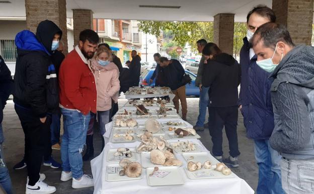 Terminan las jornadas micológicas