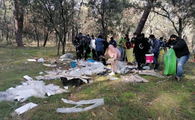 Alumnos del instituto San Martín y de la escuela de FP Dual La Atalaya retiran 150 kilos de 'basuraleza' del pinar de Talayuela