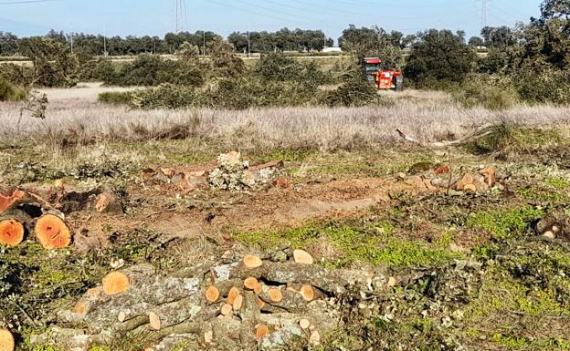 Cristian Lay inicia los trabajos previos para construir la fábrica de envases