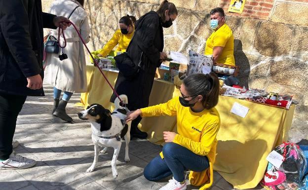 La protectora Kronos atiende a un centenar de animales en su primer año