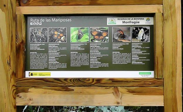 Un libro recopila las mariposas del parque de Monfragüe
