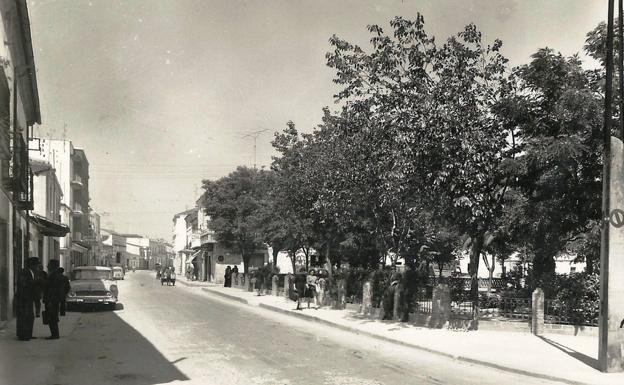 Navalmoral, una ciudad sin árboles