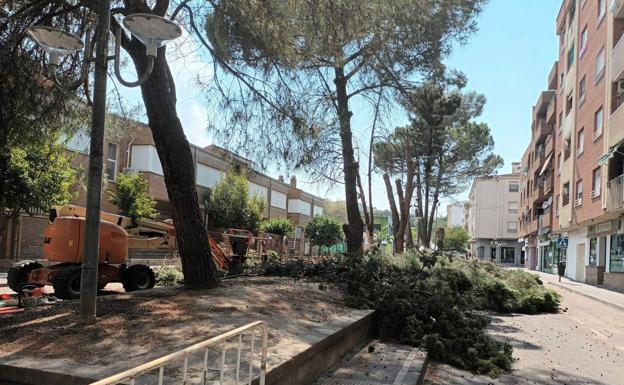 Adenex exige recuperar la sombra en la avenida del Magisterio