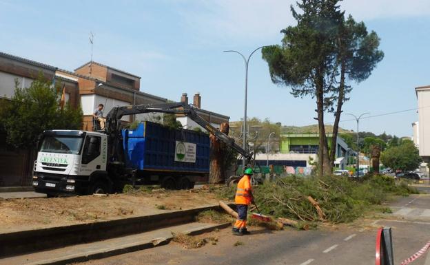 «Tenemos previsto crear 8 kilómetros de carril bici y el principio será aquí», dice Juan Máximo Villar
