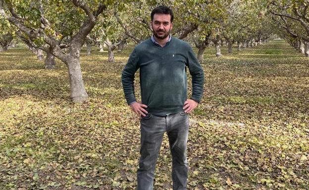 «Nuestro pistacho es muy apreciado en el mercado», dice Carlos Suárez, de Nuevos Cultivos Agrarios