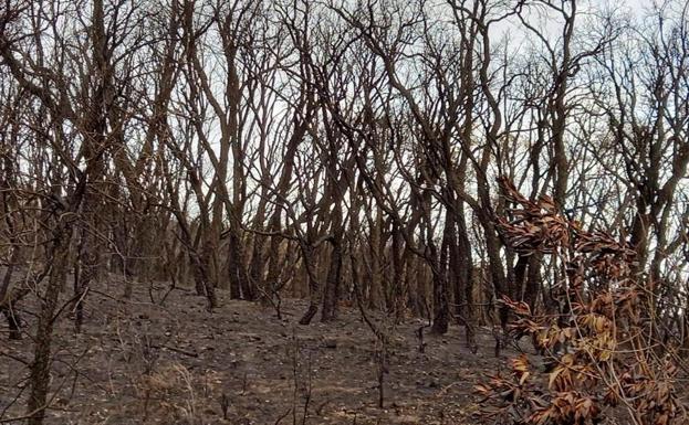 Una exposición, testigo de una tragedia para no olvidar