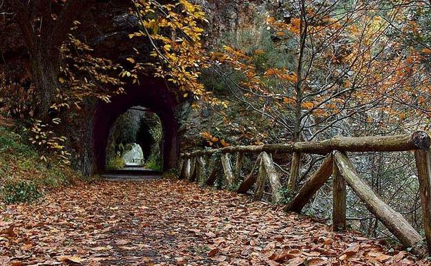 El Centro Excursionista prepara una salida especial a Asturias para recorrer la Senda del Oso