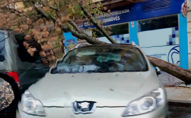 El portavoz municipal defiende la limpieza y el mantenimiento que se hace en la red de saneamiento