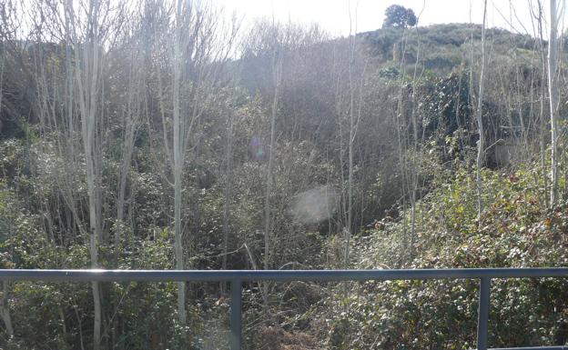 El Ayuntamiento ha pedido varias veces a Confederación Hidrográfica del Tajo que limpie los arroyos