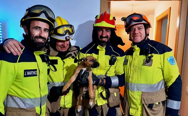 Los bomberos con Duna, el cachorro rescatado 