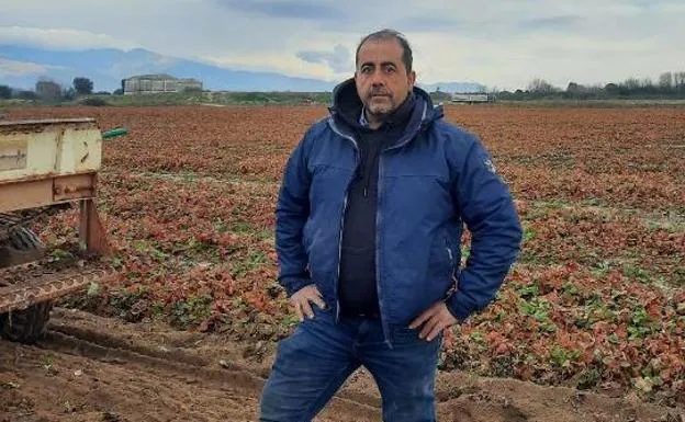 «El pequeño agricultor tiende a desaparecer», afirma Julio Muñoz, gerente de Bebenursery Víveros