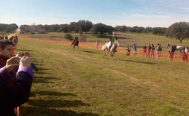 Las carreras de caballos de Toril repartirán 6.350 euros en premios