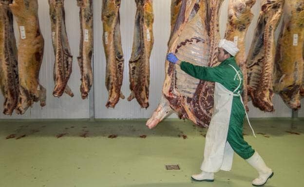 Una empresa irlandesa toma el control del matadero de Olivenza