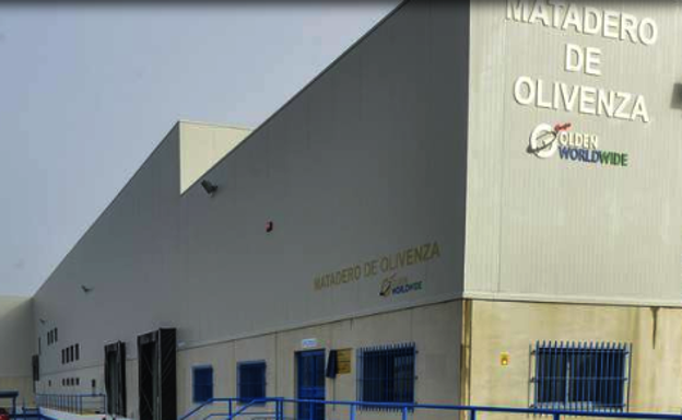Herido grave por asta de toro un trabajador de 55 años en el matadero de Olivenza