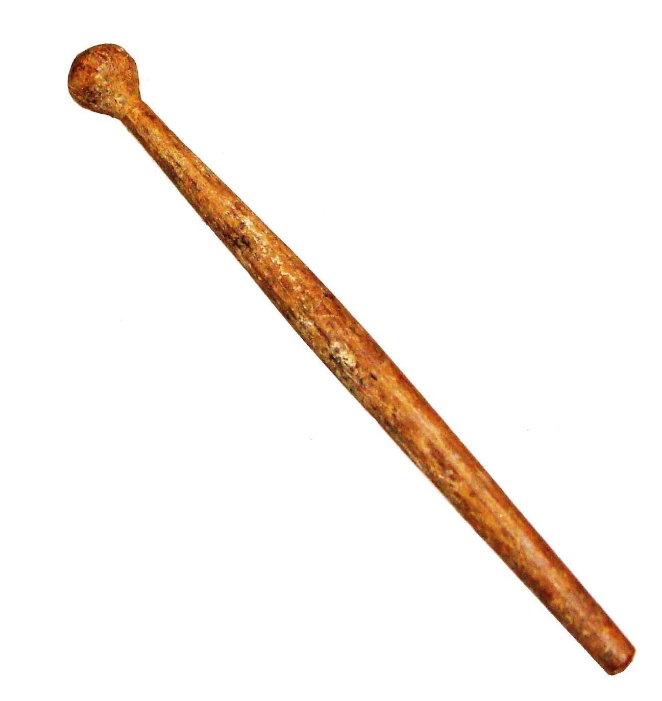 Acus crinalis, pieza del mes de junio de 2019 del Museo de Olivenza