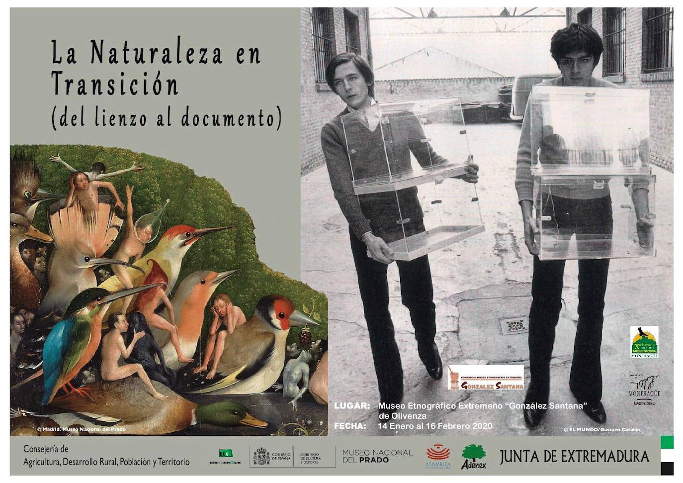 El Museo acoge la exposición 'La Naturaleza en Transición. Del lienzo al documento'