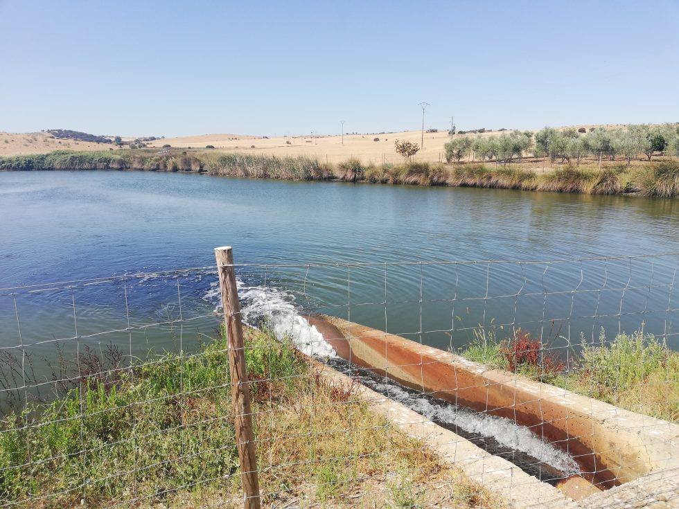 La Junta aprueba las obras para acondicionar la impulsión de Malpica en la zona regable de Piedra Aguda