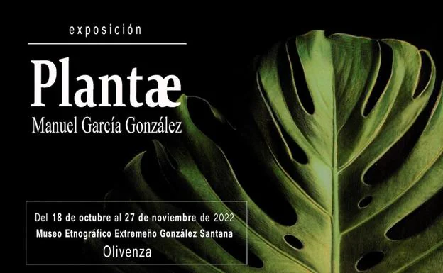 El artista emeritense Manuel García expone 'Plantae' en el Museo 'González Santana'