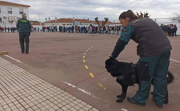 El alumnado del CEIP FCO. Ortiz disfrutó con una exhibición de la Guardia Civil