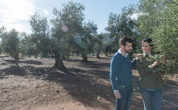 La Almazara Molero Maza se lleva dos premios en la cata-concurso de la Diputación