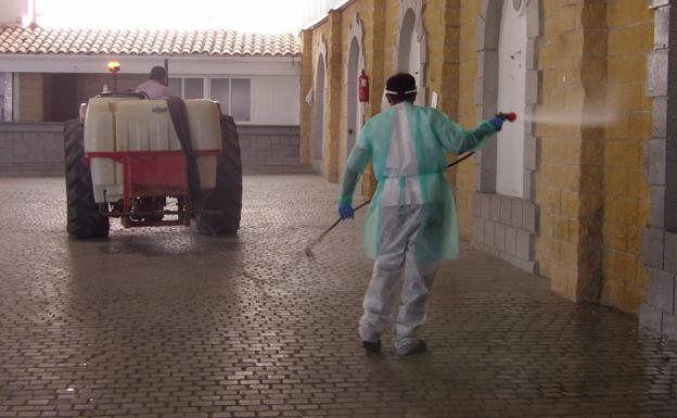 El Ayuntamiento desinfecta la carpa tras la realización de las pruebas PCR