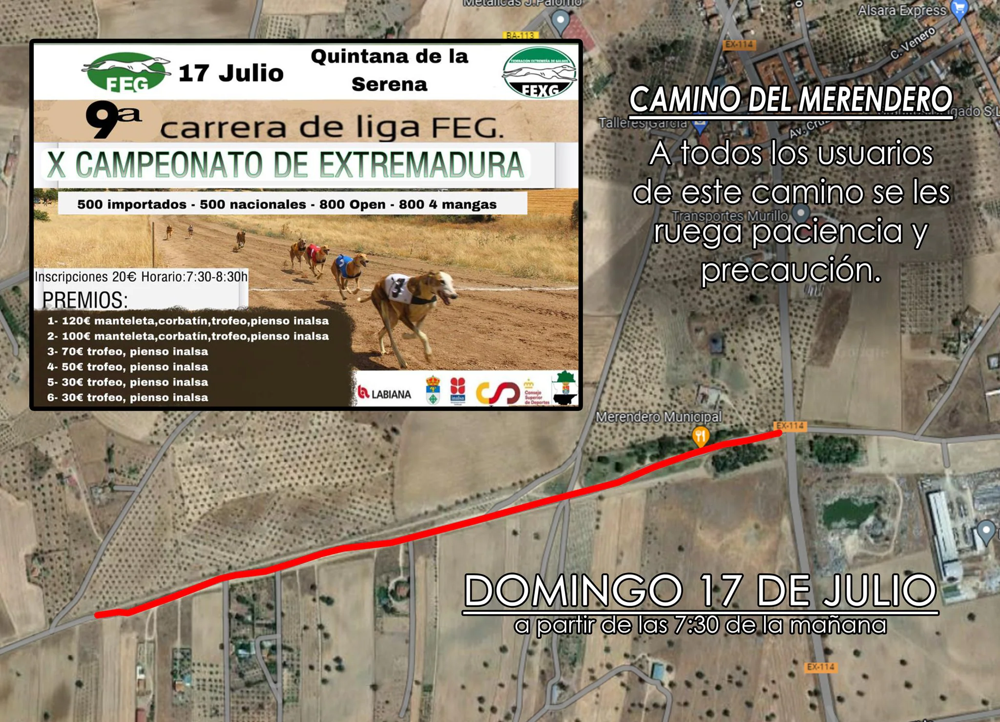 Quintana acoge la 9ª carrera de la liga de galgos del X campeonato de Extremadura