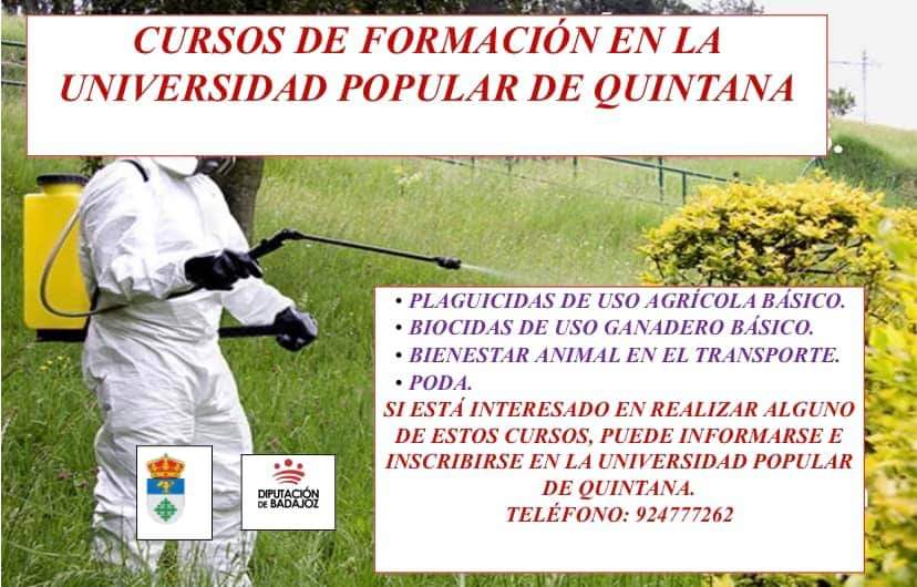 Oferta de cursos de formación por parte de la Universidad Popular de Quintana