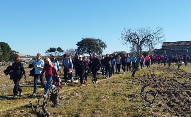 Gran participación en la Marcha solidaria frente al Cáncer Mundial