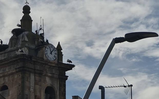 Las cigüeñas traen de cabeza al reloj de la villa