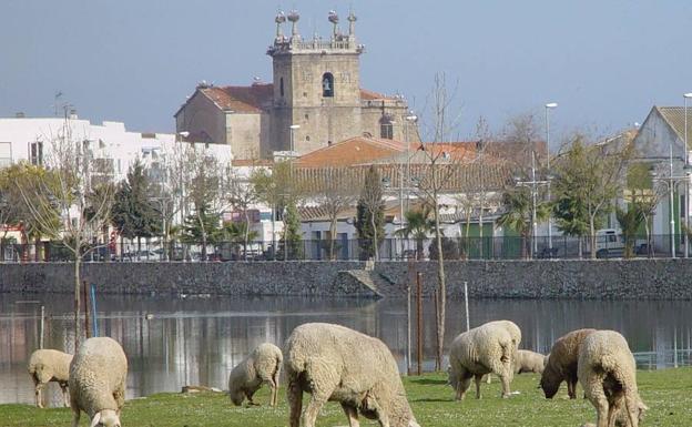 Casar de Cáceres acoge la III edición de Diputación Inclusiva