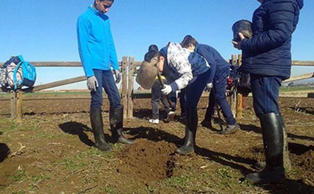El proyecto de voluntariado ambiental de Inclusives en Villanueva implica a 1.418 personas