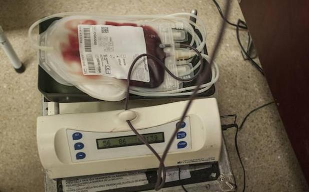 127 bolsas de sangre en el primer día