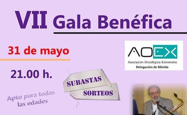 Gala benéfica a favor de la Princesa Ana en Mérida