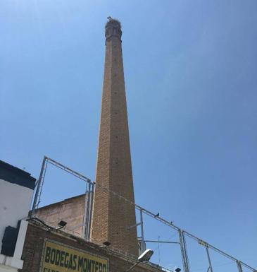 Adenex apoya a 'Amigos de las chimeneas' en la búsqueda de su protección en Almendralejo