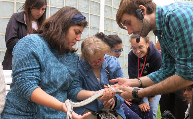 Terapia con reptiles para los participantes del campamento de Conciliación Familiar