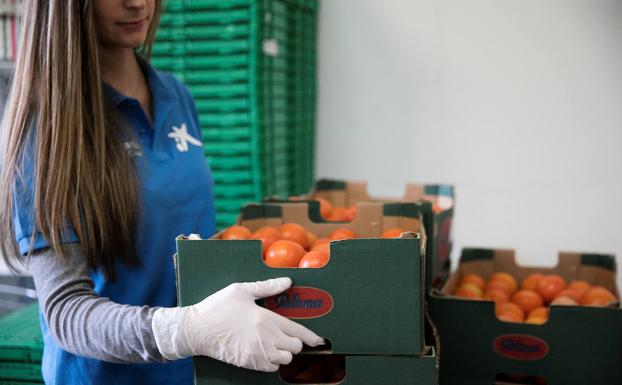 Fundación 'la Caixa' recauda 22.855 euros para los Bancos de Alimentos de Badajoz
