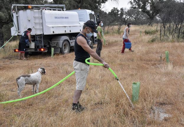 Un grupo de voluntarios cuida de los árboles plantados en Tres Arroyos