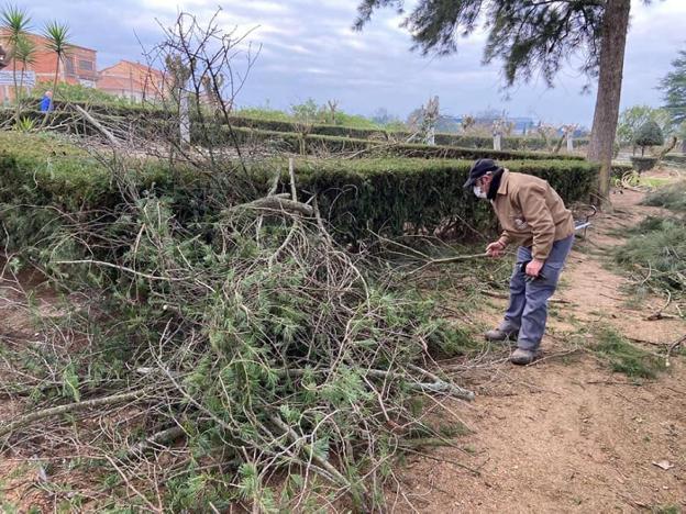 Usuarios de Proines inician sus prácticas en Medellín
