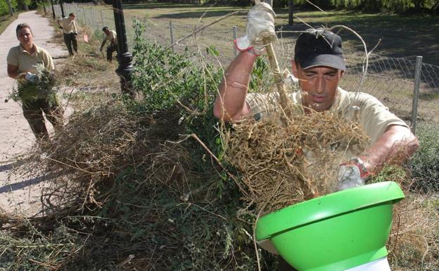 La Fundación Biodiversidad destinará 9,4 millones a proyectos de formación e inserción laboral para desempleados